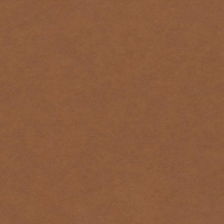 Forescolor Board  "brown"