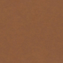 Forescolor Board  "brown"